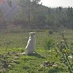 Διαμέρισμα Quinta Reuffurth