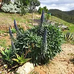 Quinta Reuffurth Aljezur