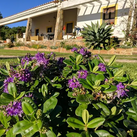 Quinta Reuffurth Apartamento *