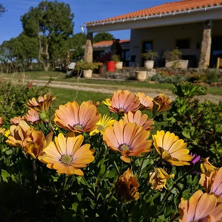 Quinta Reuffurth * Aljezur