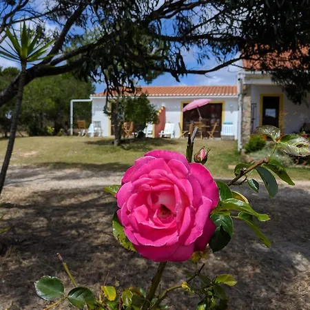 Quinta Reuffurth