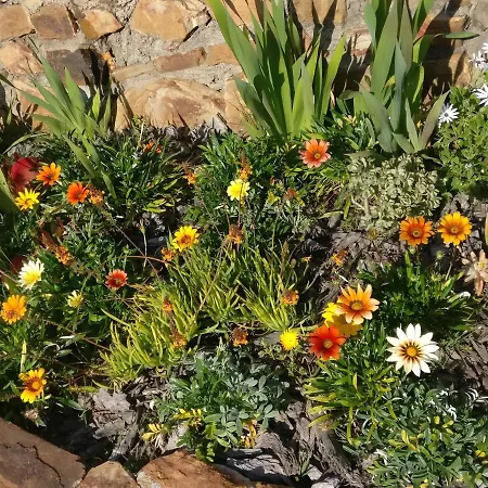 דירה Quinta Reuffurth