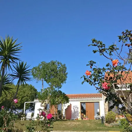 Quinta Reuffurth