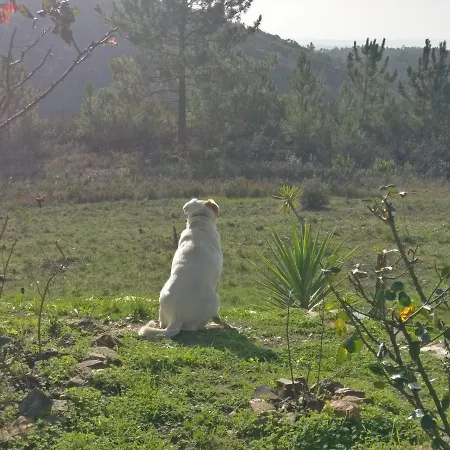 דירה Quinta Reuffurth