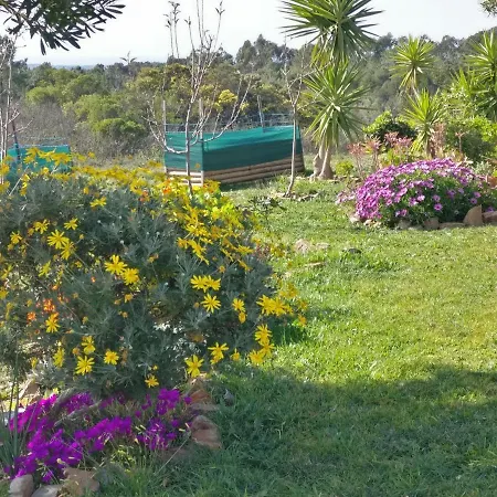 公寓 Quinta Reuffurth