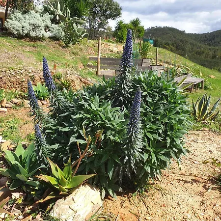 Quinta Reuffurth Aljezur