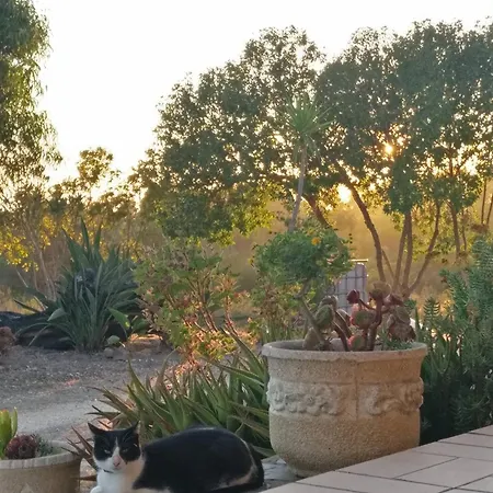 公寓 Quinta Reuffurth 阿尔热祖尔