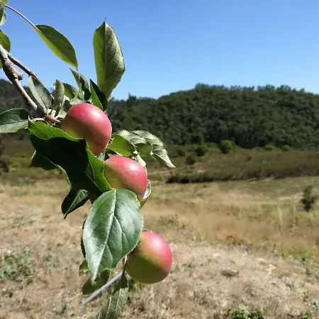 公寓 Quinta Reuffurth 阿尔热祖尔