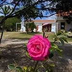 Quinta Reuffurth