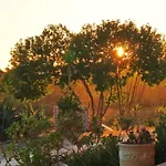 Quinta Reuffurth